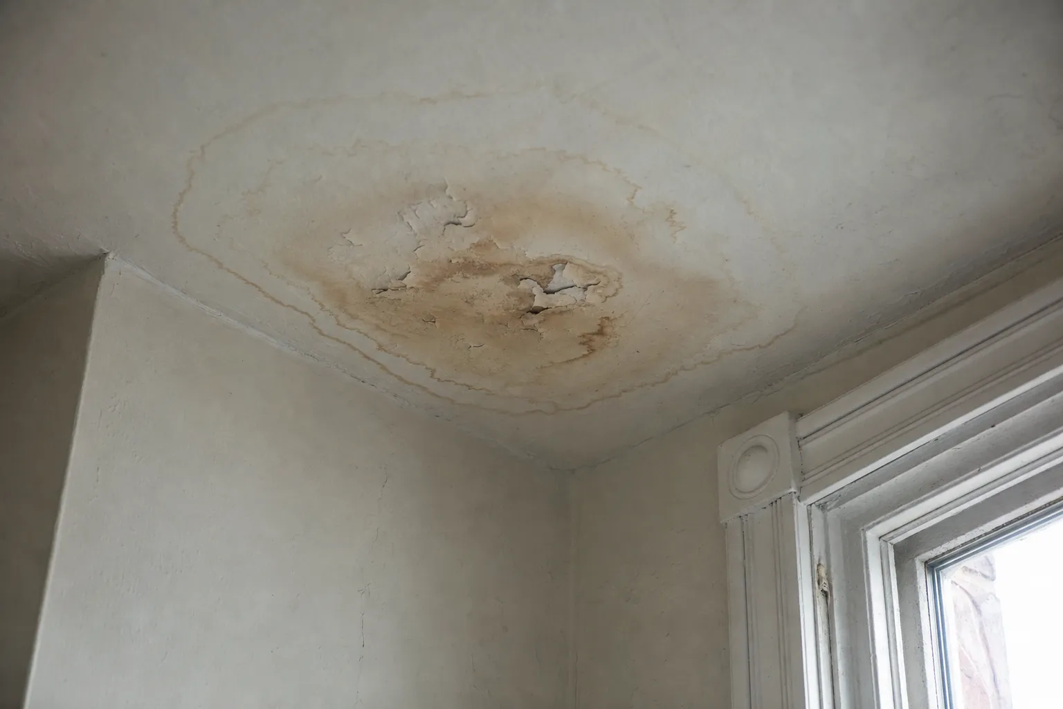 Hidden Plumbing Leak Warning Signs in Philadelphia Homes
